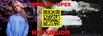 мет Кингисепп