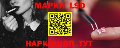 мет Кингисепп