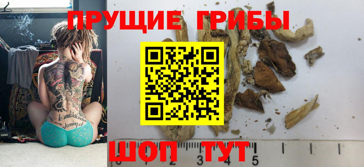 Галлюциногенные грибы MAGIC MUSHROOMS Красногорск
