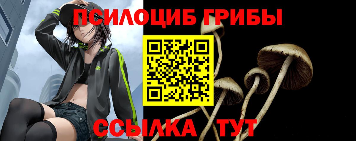 Псилоцибиновые грибы мицелий  Вход с VPN  Красногорск 